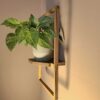 Plantportret